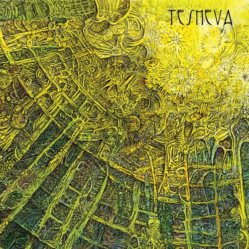 The Tesheva Cover Art Blurred Background