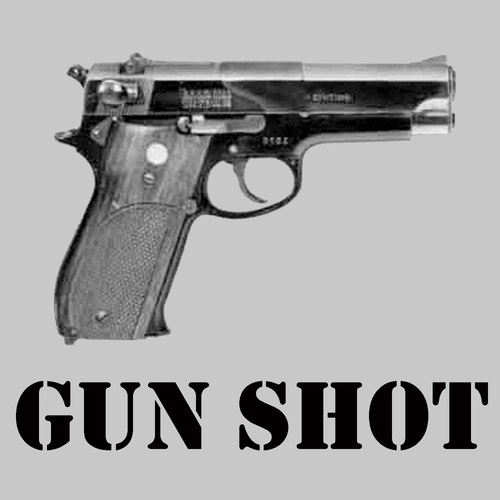 Gunshot Ringtone/Text Alert Sound Effect Cover Art Blurred Background