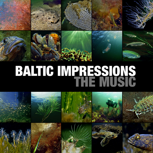 Baltic Impressions (The Music) Cover Art Blurred Background