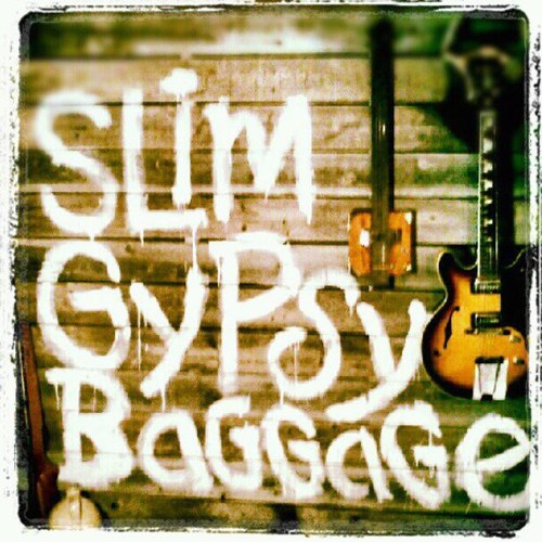 Slim Gypsy Baggage Cover Art Blurred Background