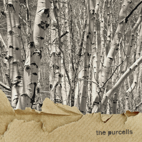 Birches Cover Art Blurred Background