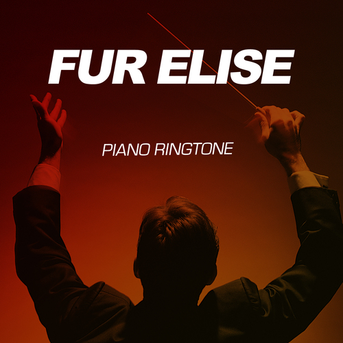 Fur Elise Piano Cover Art Blurred Background
