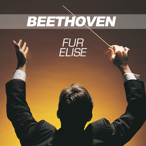 Beethoven Ringtones - Fur Elise Cover Art Blurred Background