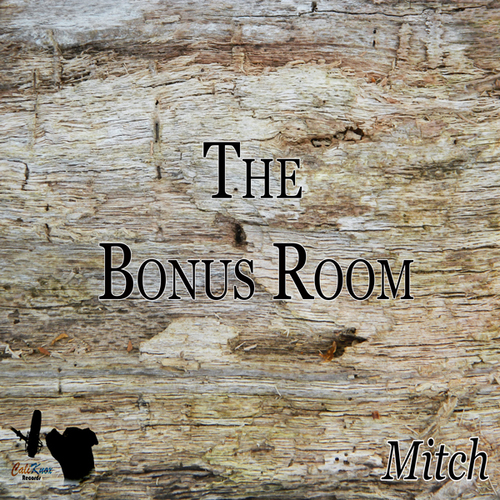 The Bonus Room Cover Art Blurred Background