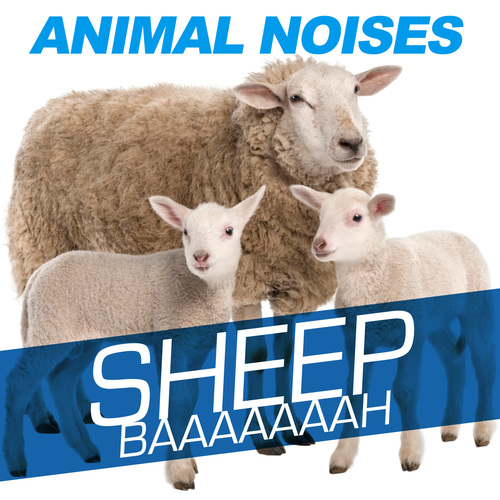 Animal Noises - Sheep - Baaaaah Cover Art Blurred Background