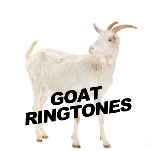 Goat Ringtone Cover Art Blurred Background