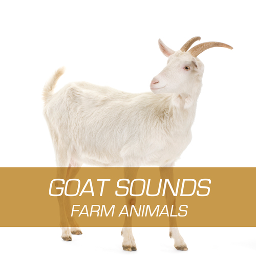 Goat Sounds - Farm Animals Cover Art Blurred Background