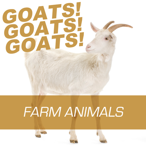 Goats Goats Goats! - Farm Animals Cover Art Blurred Background