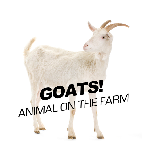 Goats! - Animal On The Farm Cover Art Blurred Background