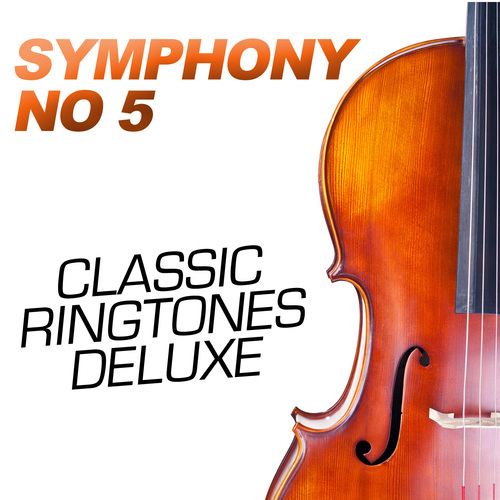 Symphony No. 5 Cover Art Blurred Background