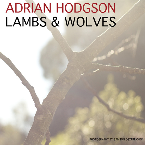 Lambs and Wolves Cover Art Blurred Background
