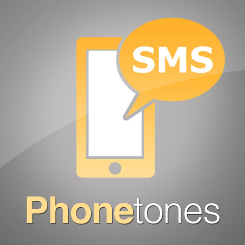 Professional & Minimal Short Xylo Cover Art Blurred Background