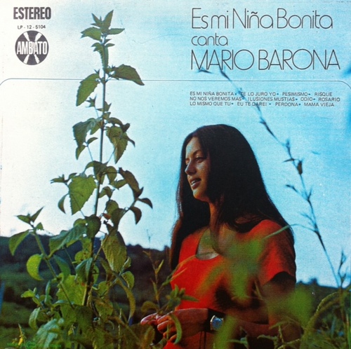 Es mi niña bonita Cover Art Blurred Background