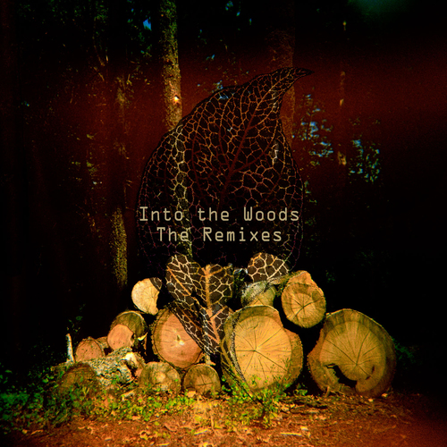 Into the Woods - The Remixes Cover Art Blurred Background