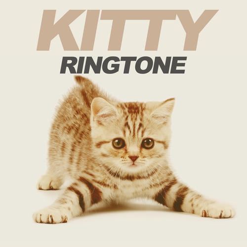 Kitty Cover Art Blurred Background