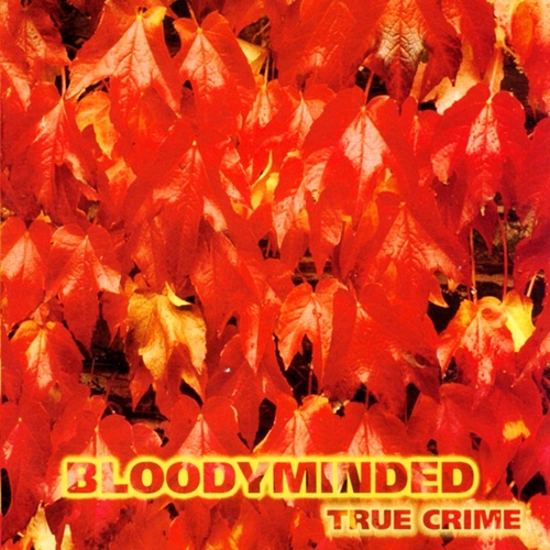 True Crime Cover Art Blurred Background