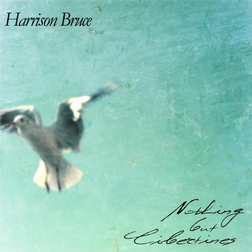 Nothing but Libertines Cover Art Blurred Background