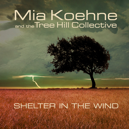 Shelter In The Wind Cover Art Blurred Background