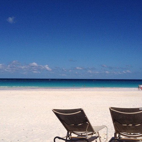 Island Summer Cover Art Blurred Background