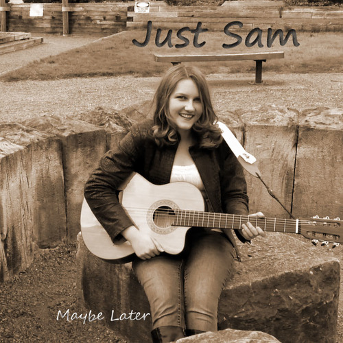 Maybe Later Cover Art Blurred Background
