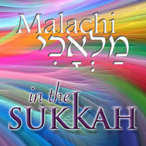 In The Sukkah Cover Art Blurred Background
