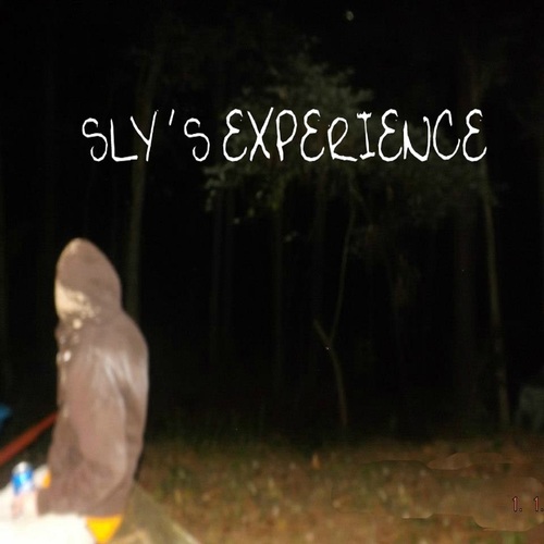 Sly's Experience Cover Art Blurred Background