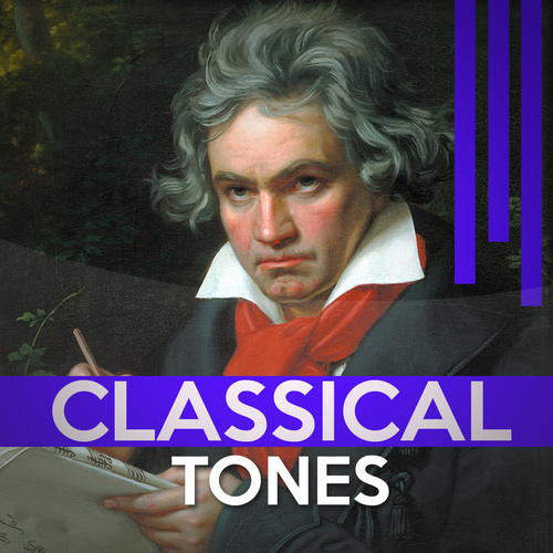 Beethoven: Piano Sonata No. 14 in C# Minor, Op. 27 "Moonlight": III. Presto agitato Cover Art Blurred Background