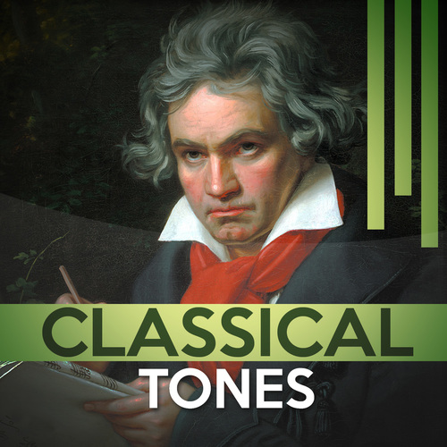 Beethoven: Bagatelle in A Minor, WoO 59 - "Für Elise": Poco Moto Cover Art Blurred Background