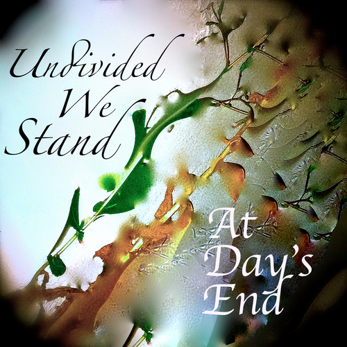 Undivided We Stand Cover Art Blurred Background