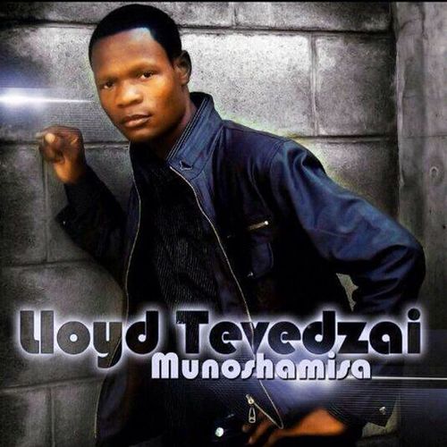 Munoshamisa Cover Art Blurred Background