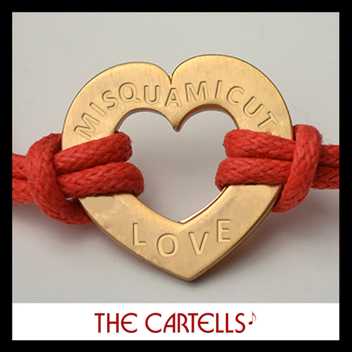 Misquamicut Love Cover Art Blurred Background