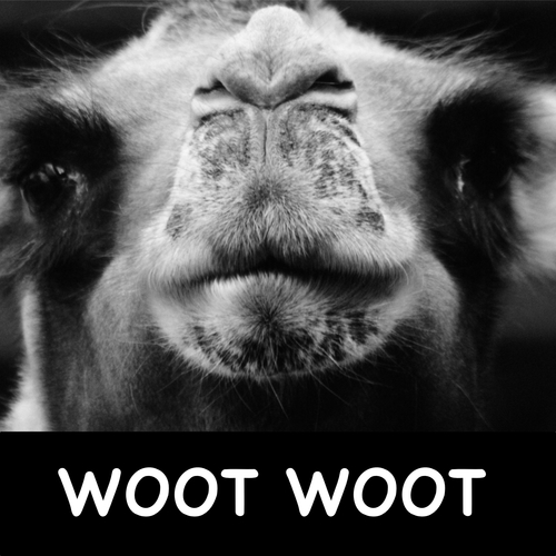 Woot Woot Cover Art Blurred Background