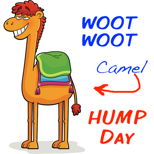 Woot Woot / Camel / Hump Day Cover Art Blurred Background
