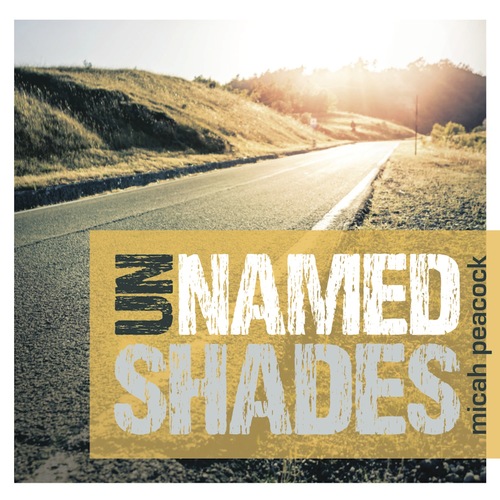 Unnamed Shades Cover Art Blurred Background