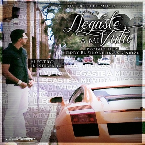 Llegaste a mi vida Cover Art Blurred Background