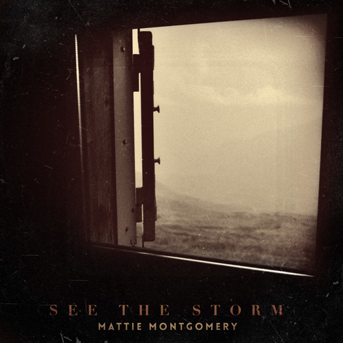 See the Storm Cover Art Blurred Background