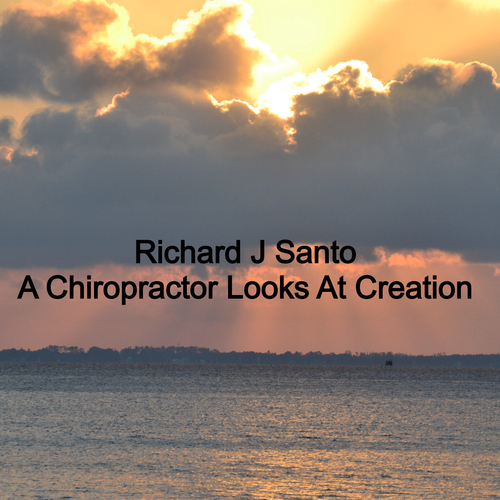 A Chiropractor Looks at Creation Cover Art Blurred Background