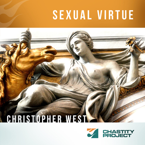 Sexual Virtue Cover Art Blurred Background