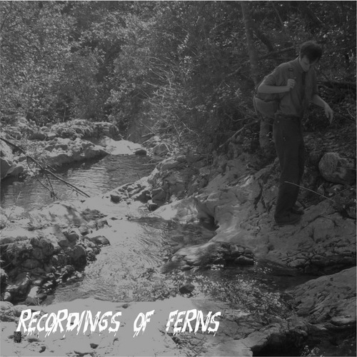 Recordings of Ferns Cover Art Blurred Background