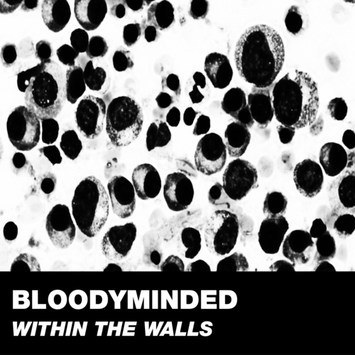 Within the Walls Cover Art Blurred Background