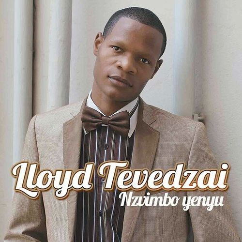 Nzvimbo Yenyu Cover Art Blurred Background