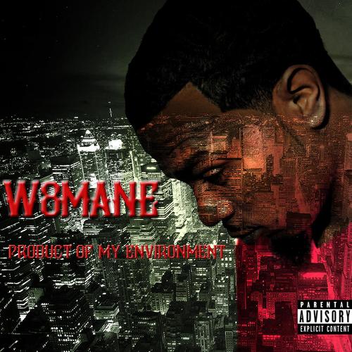 Product of My Enviroment Cover Art Blurred Background