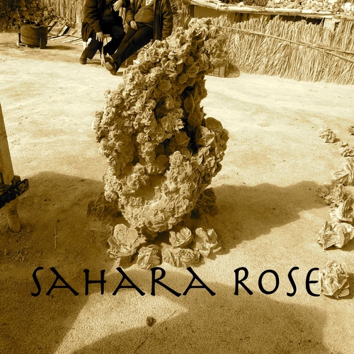Sahara Rose Cover Art Blurred Background