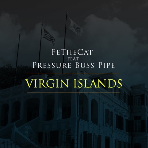 Virgin Islands Cover Art Blurred Background