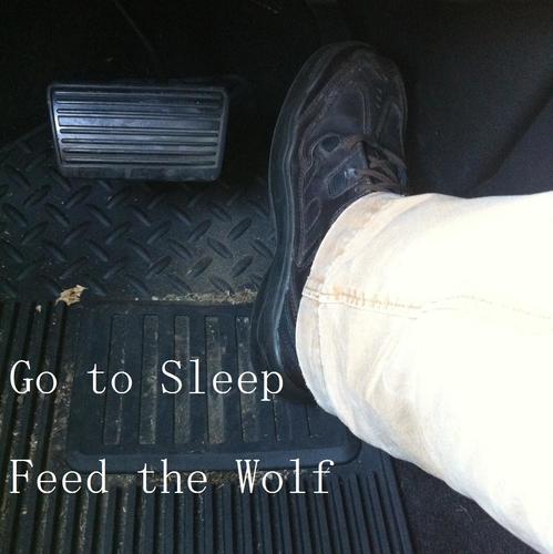 Feed the Wolf Cover Art Blurred Background