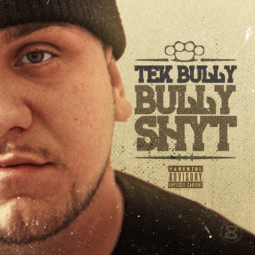 Bully Shyt Cover Art Blurred Background