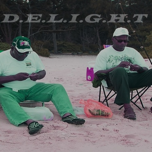 D.E.L.I.G.H.T Cover Art Blurred Background