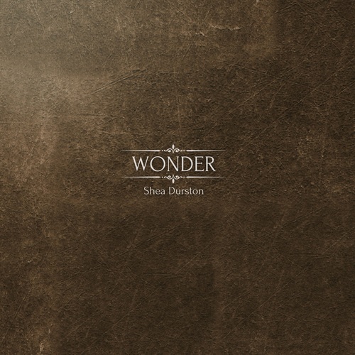 Wonder Cover Art Blurred Background