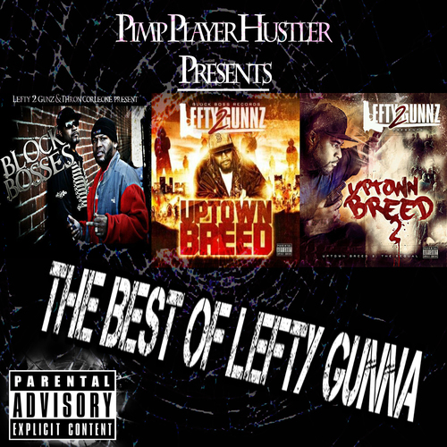 The Best of Lefty Gunna Cover Art Blurred Background