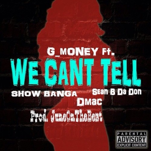 We Can't Tell Cover Art Blurred Background